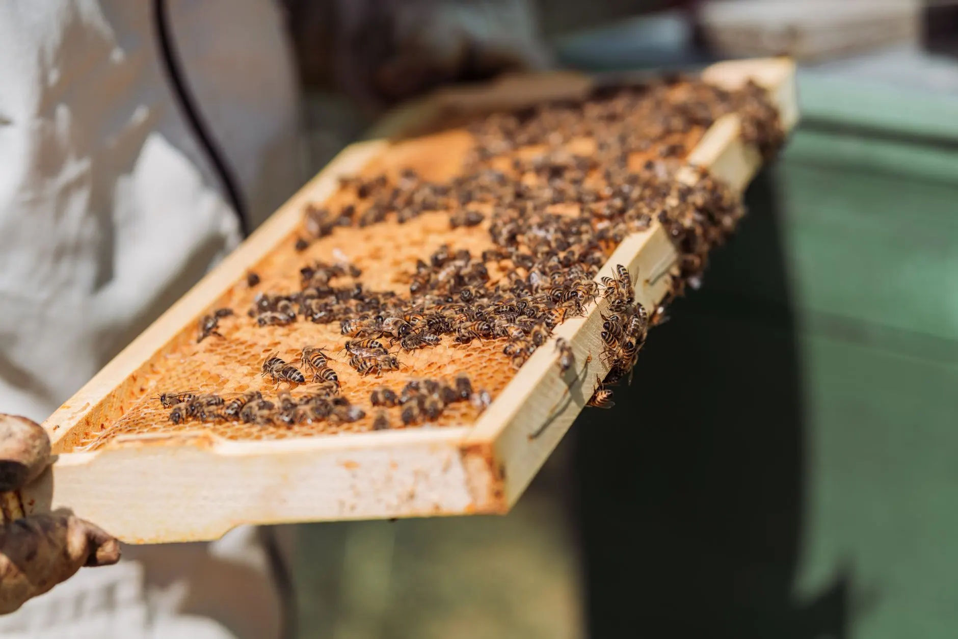 贵州德建福瑞医用监护仪参数对比与选型分析