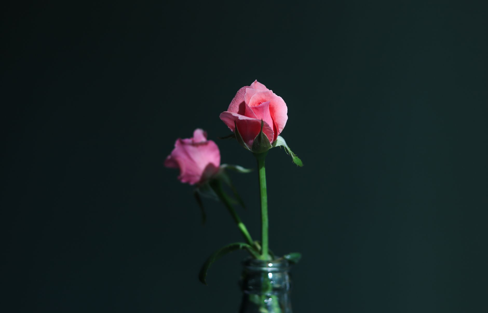 贵州医疗设备采购指南:如何选择适合医院的监护仪与呼吸机
