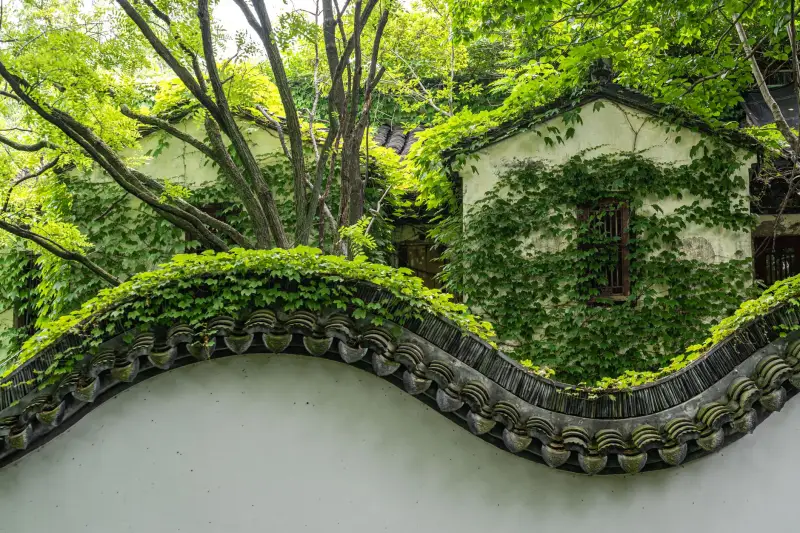西南地区医疗机构医疗设备采购指南：如何选择高精度监护仪