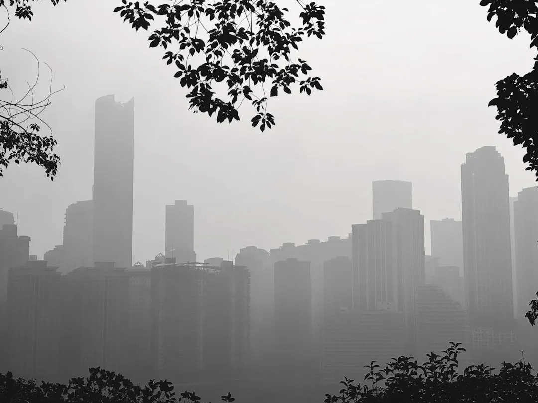 德建福瑞医疗设备参数对比：不同型号适用场景分析